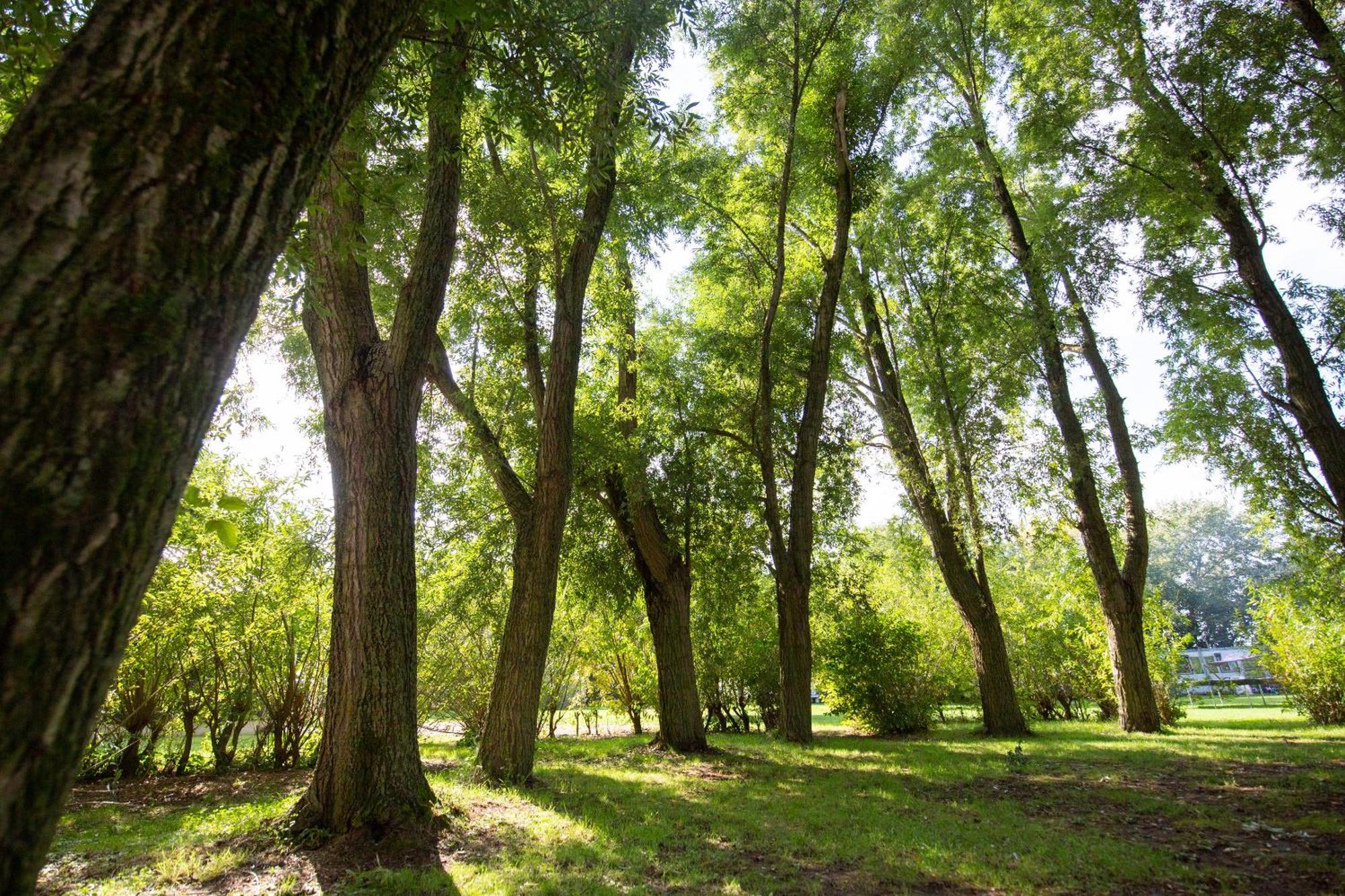 Groepsaccommodatie En Retreatlocatie Zeeland
